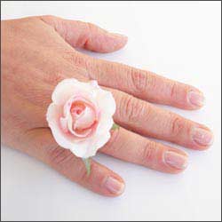 photo_blog_flowerrings.jpg