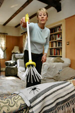 photo_blog_spider-catcher.jpg