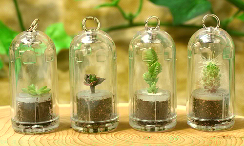 photo_keychain_plants.jpg