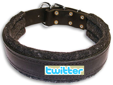 dogcollartweet.jpg