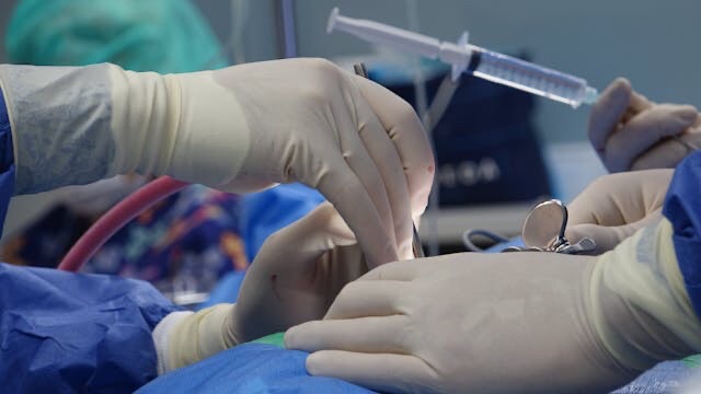 World’s First Regenerative Cell Therapy Trial Offers New Hope for Spinal Cord Injury Recovery